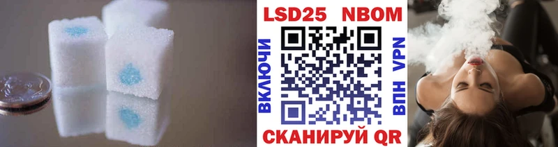 купить наркоту  Большой Камень  LSD-25 экстази ecstasy 
