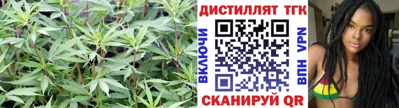 ТГК концентрат Большой Камень