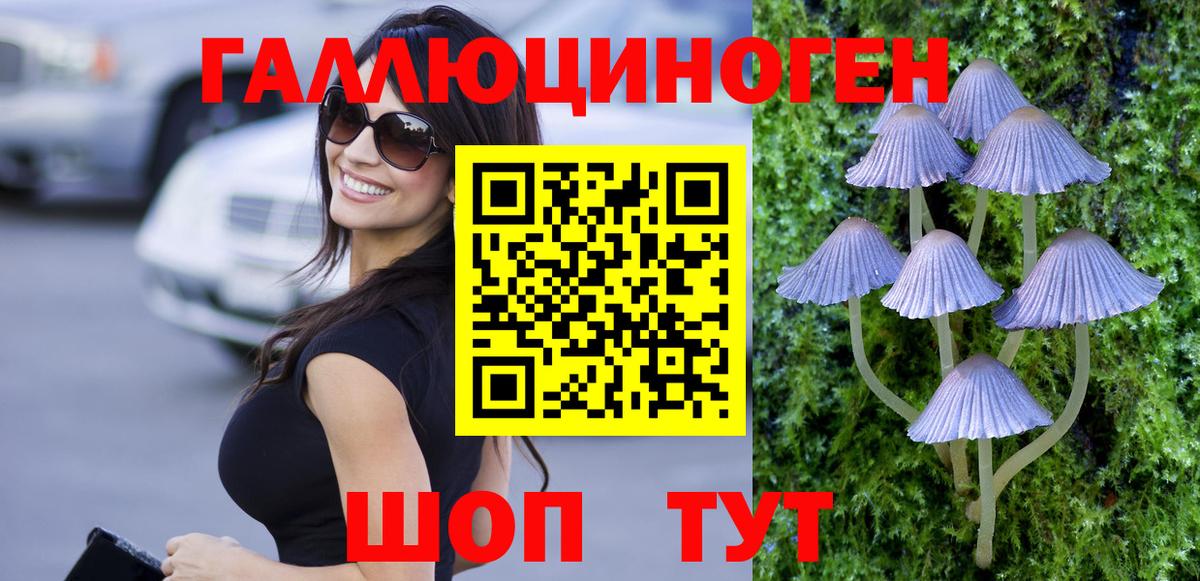 Галлюциногенные грибы мицелий  Вход с VPN  Большой Камень 