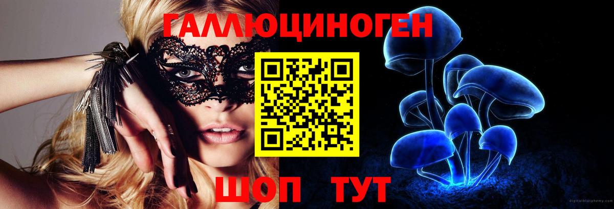 Галлюциногенные грибы GOLDEN TEACHER  Большой Камень 